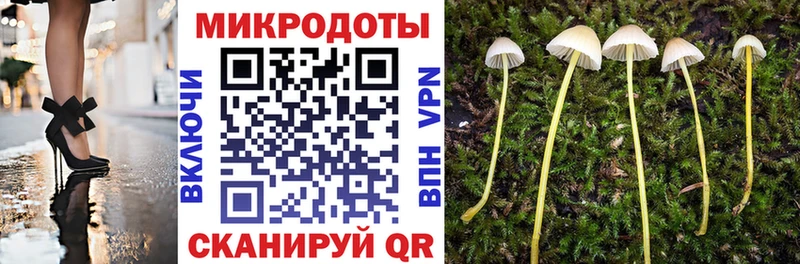 купить закладку  Покров  Галлюциногенные грибы GOLDEN TEACHER 